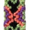 Big Butterfly Friendship Bracelet Pattern